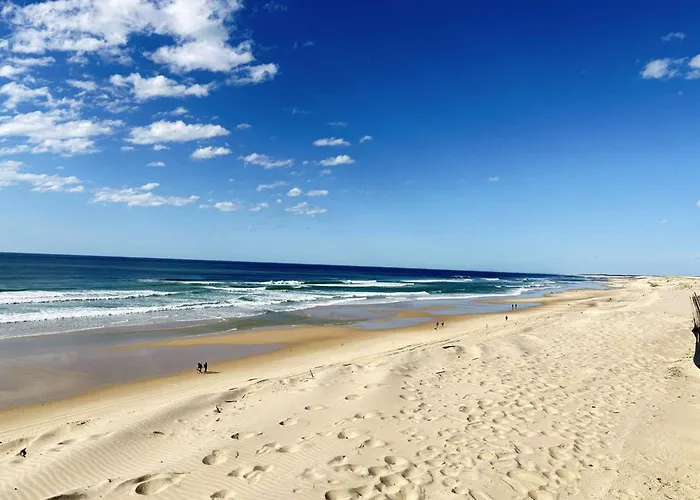 Βίλα Maison De Avec Jacuzzi Proche Du De - Fr-1-831-12 Biscarrosse