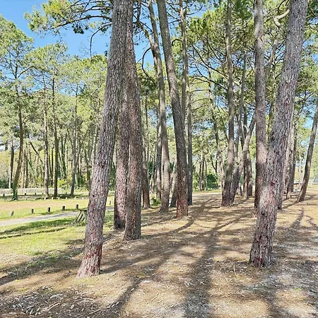 Maison De Avec Jacuzzi Proche Du De - Fr-1-831-12