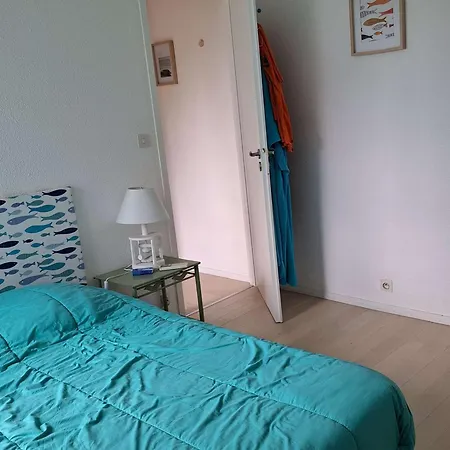 Maison De Avec Jacuzzi Proche Du De - Fr-1-831-12