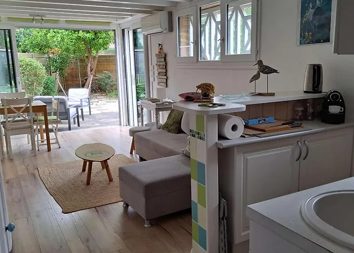 Maison De Climatisée Avec Jacuzzi Proche Du - Fr-1-831-12 * Biscarrosse