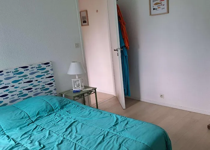 Maison De Climatisée Avec Jacuzzi Proche Du - Fr-1-831-12