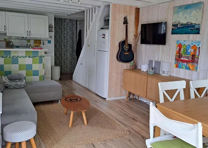 Maison De Climatisée Avec Jacuzzi Proche Du - Fr-1-831-12